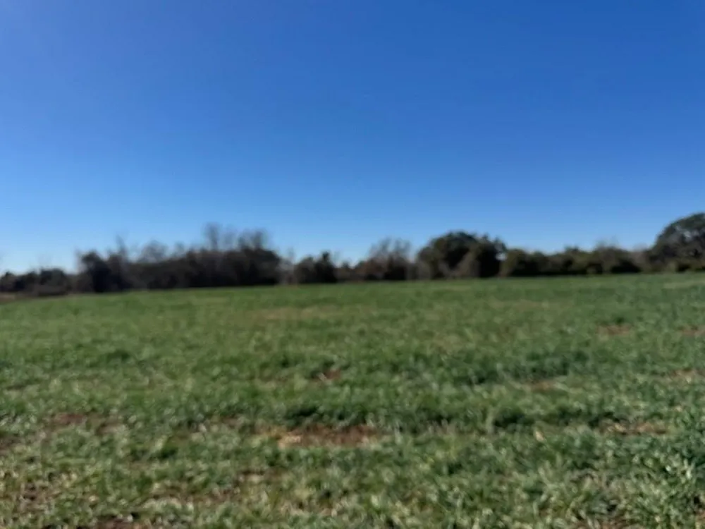 Wolters And Kainer Road Schulenburg, TX 78956