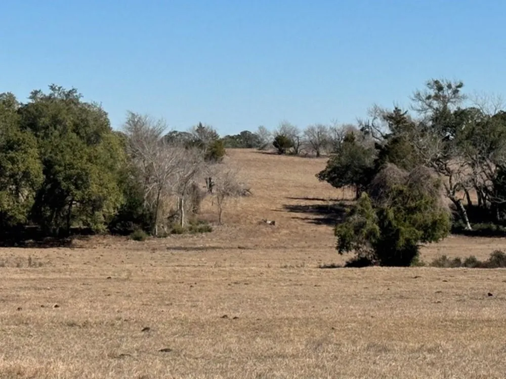 Wolters And Kainer Road Schulenburg, TX 78956