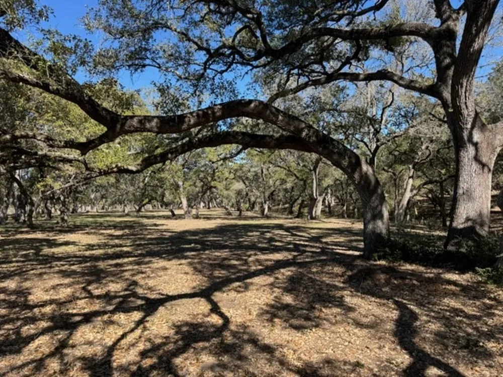 Wolters And Kainer Road Schulenburg, TX 78956