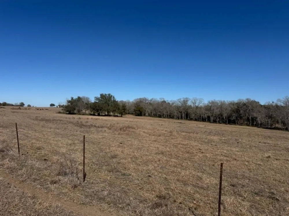 Wolters And Kainer Road Schulenburg, TX 78956