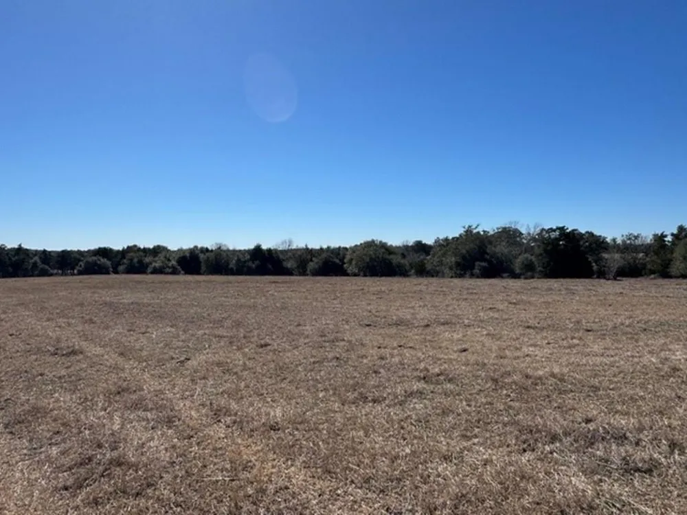 Wolters And Kainer Road Schulenburg, TX 78956