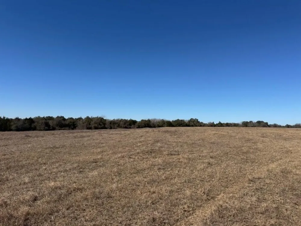 Wolters And Kainer Road Schulenburg, TX 78956