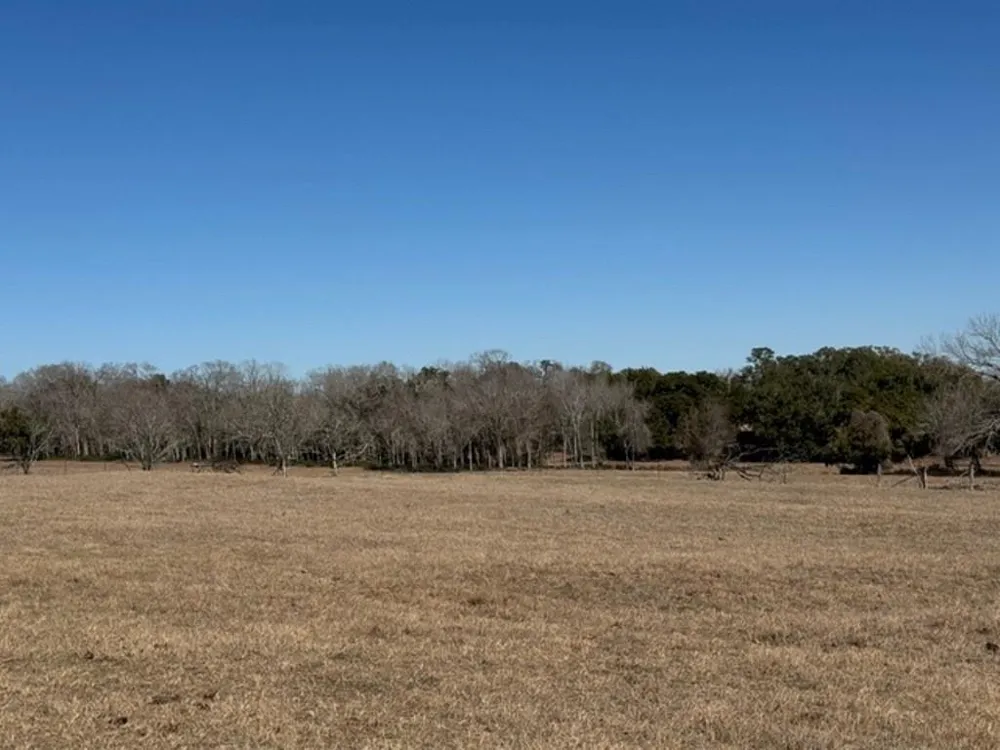 Wolters And Kainer Road Schulenburg, TX 78956