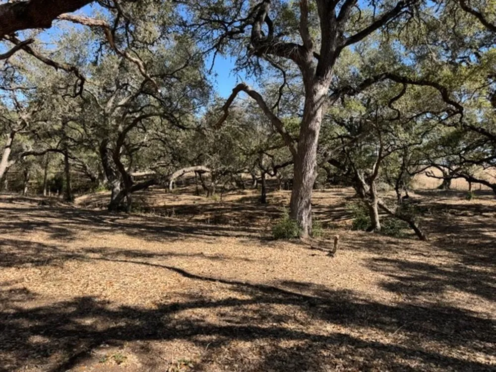 Wolters And Kainer Road Schulenburg, TX 78956