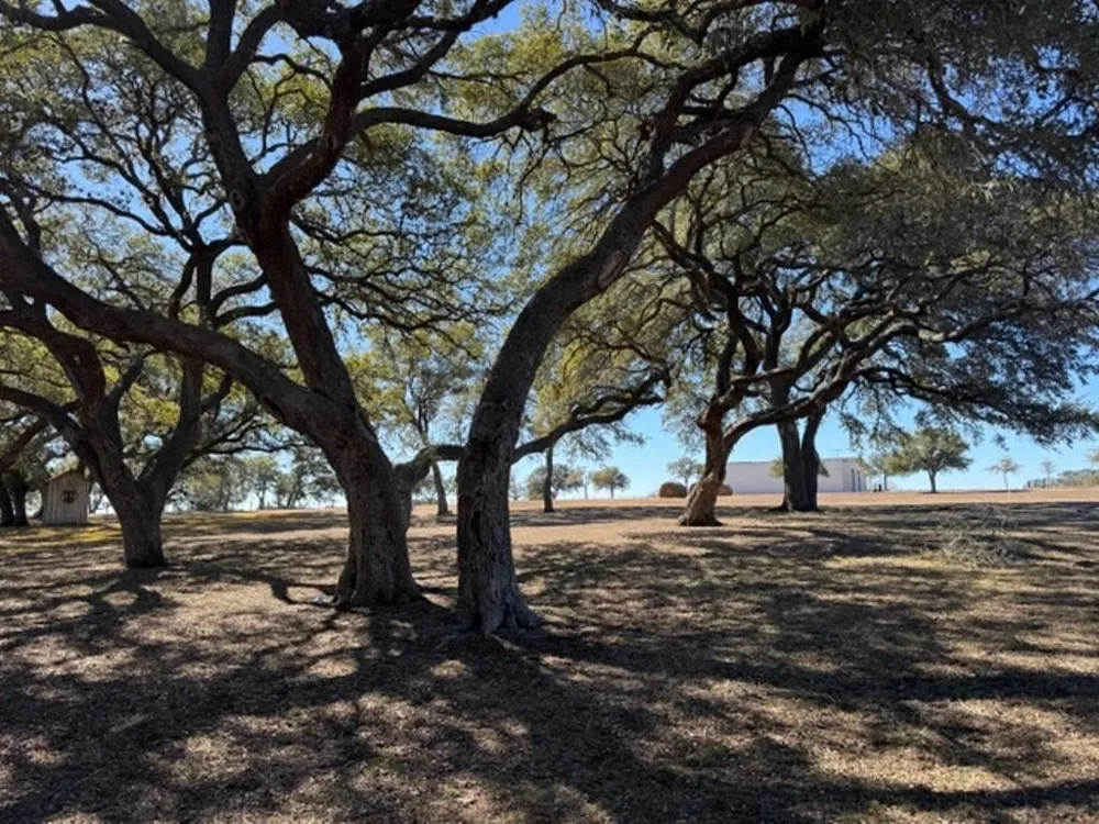 Wolters And Kainer Road Schulenburg, TX 78956
