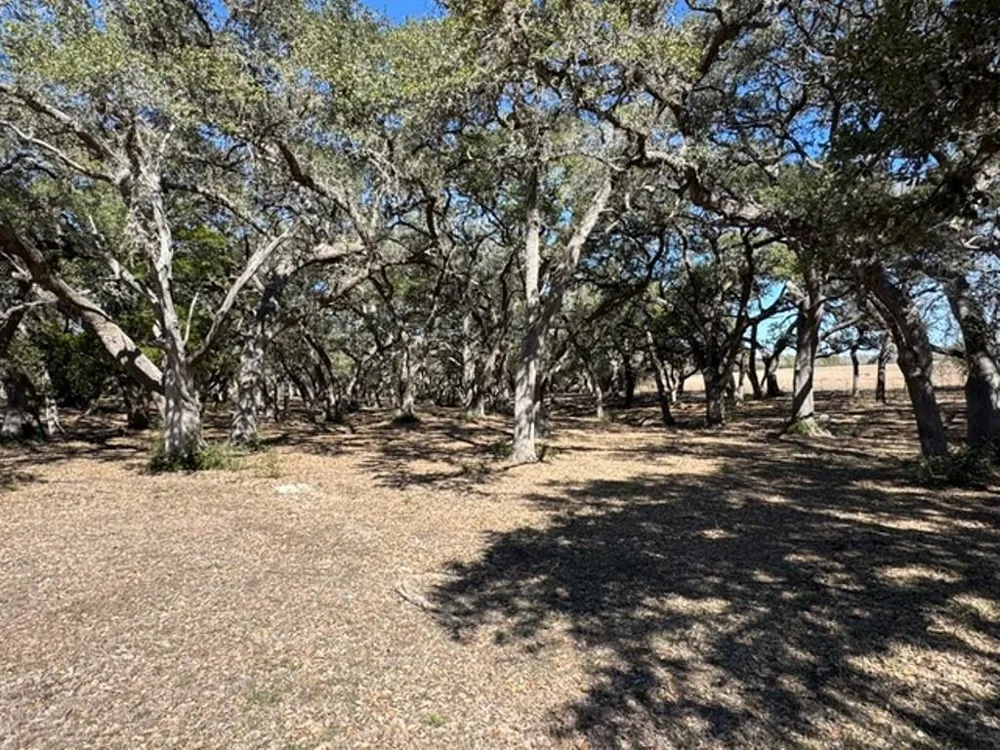 Wolters And Kainer Road Schulenburg, TX 78956