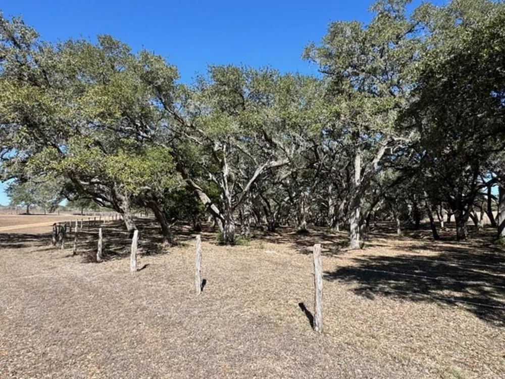 Wolters And Kainer Road Schulenburg, TX 78956