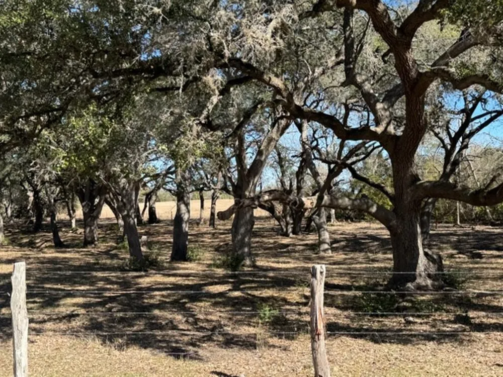 Wolters And Kainer Road Schulenburg, TX 78956