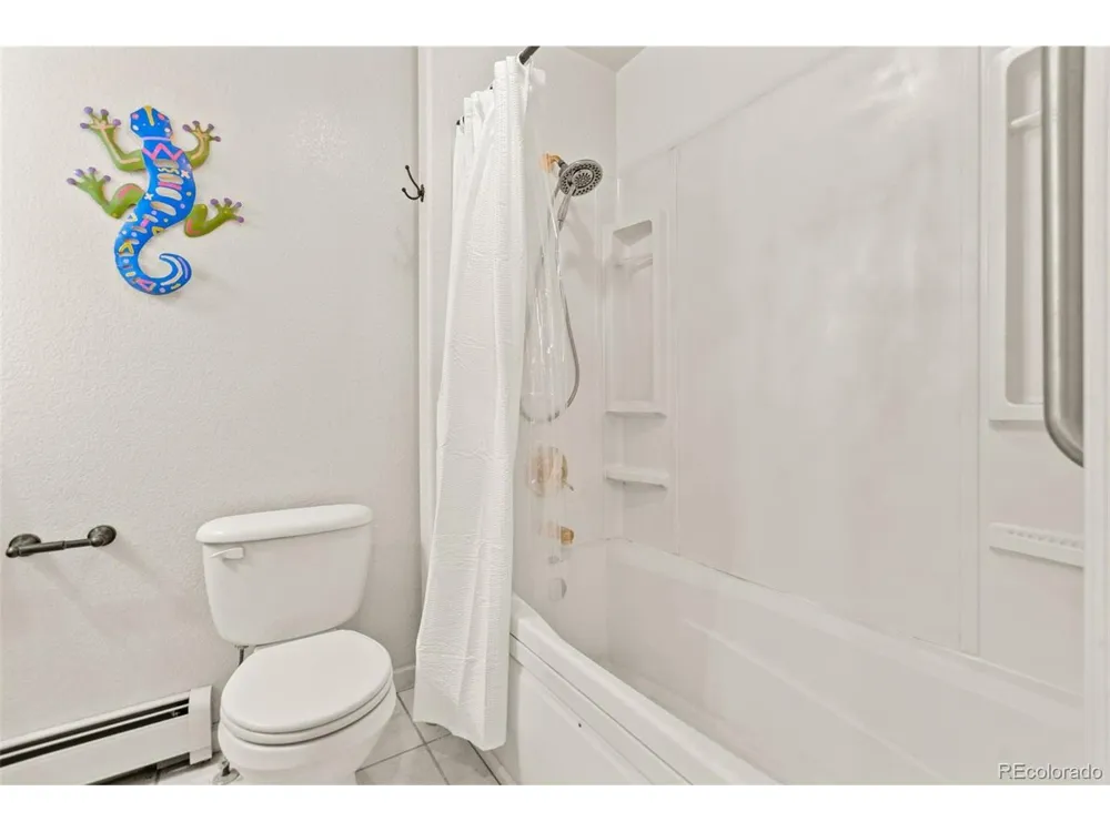 211 Appleby Street Bailey, CO 80421