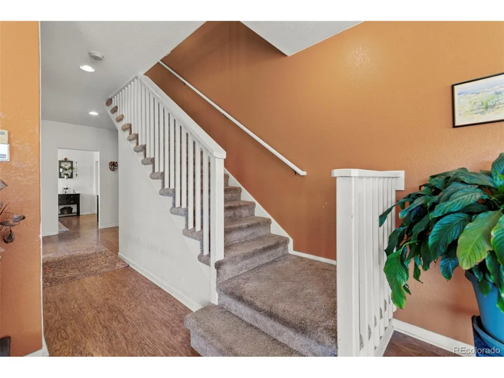 211 Appleby Street Bailey, CO 80421