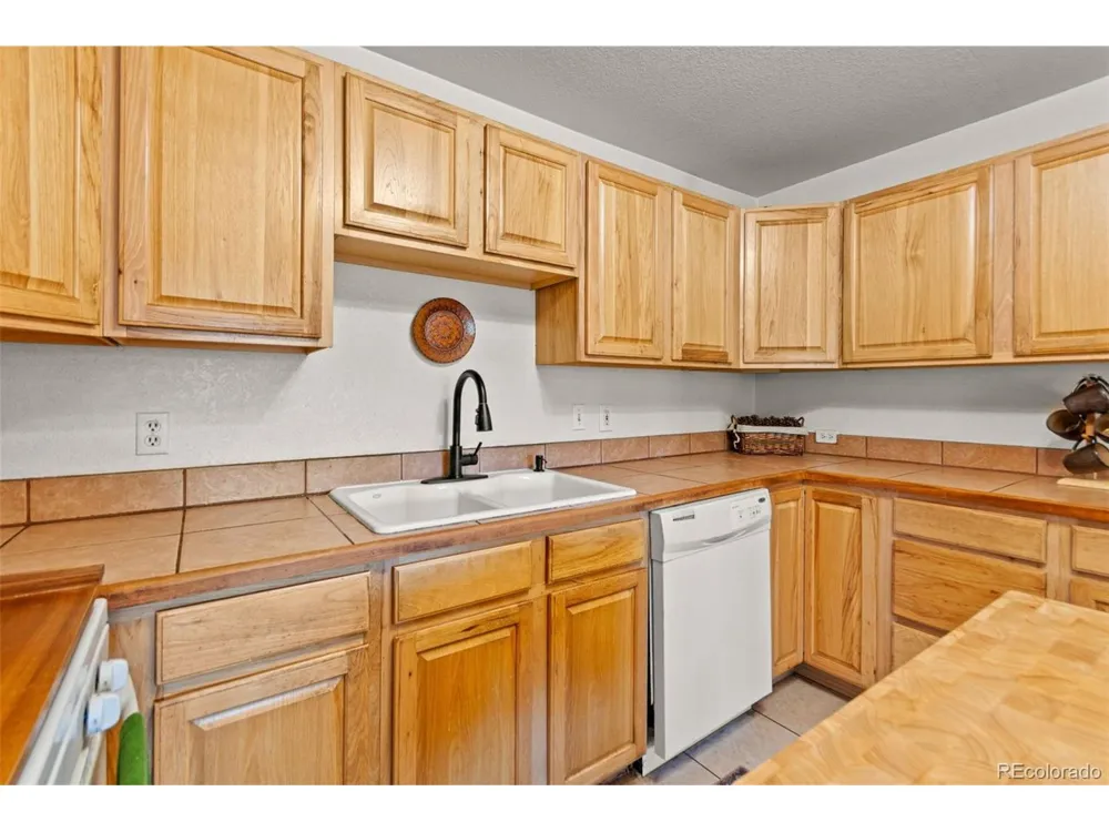 211 Appleby Street Bailey, CO 80421