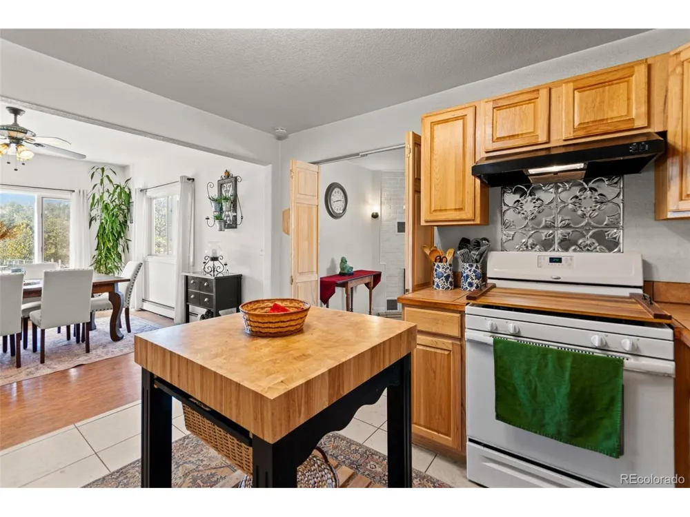 211 Appleby Street Bailey, CO 80421
