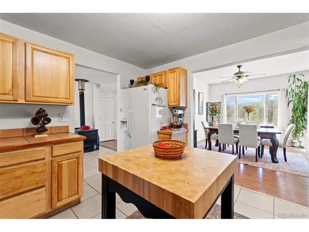 211 Appleby Street Bailey, CO 80421
