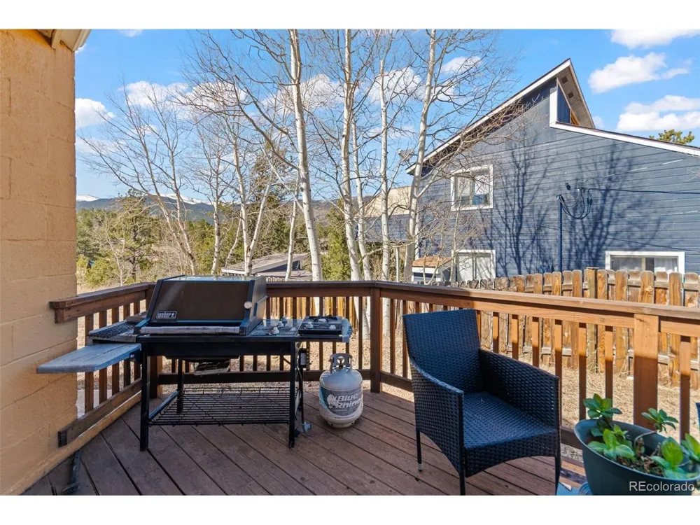 211 Appleby Street Bailey, CO 80421