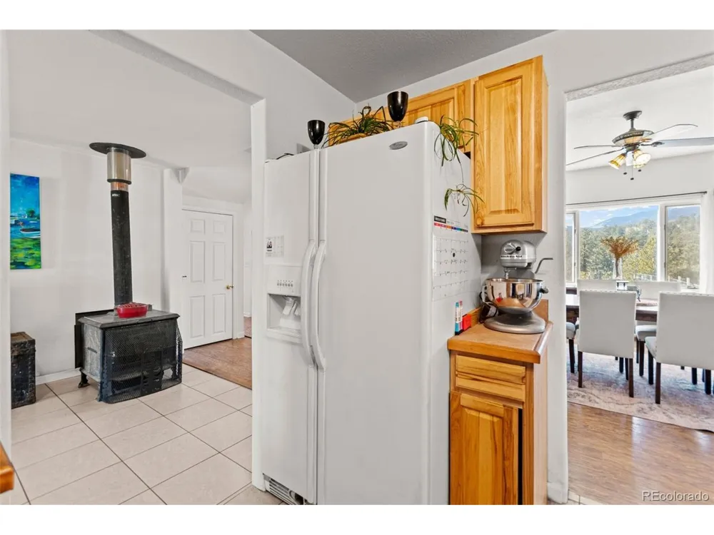 211 Appleby Street Bailey, CO 80421