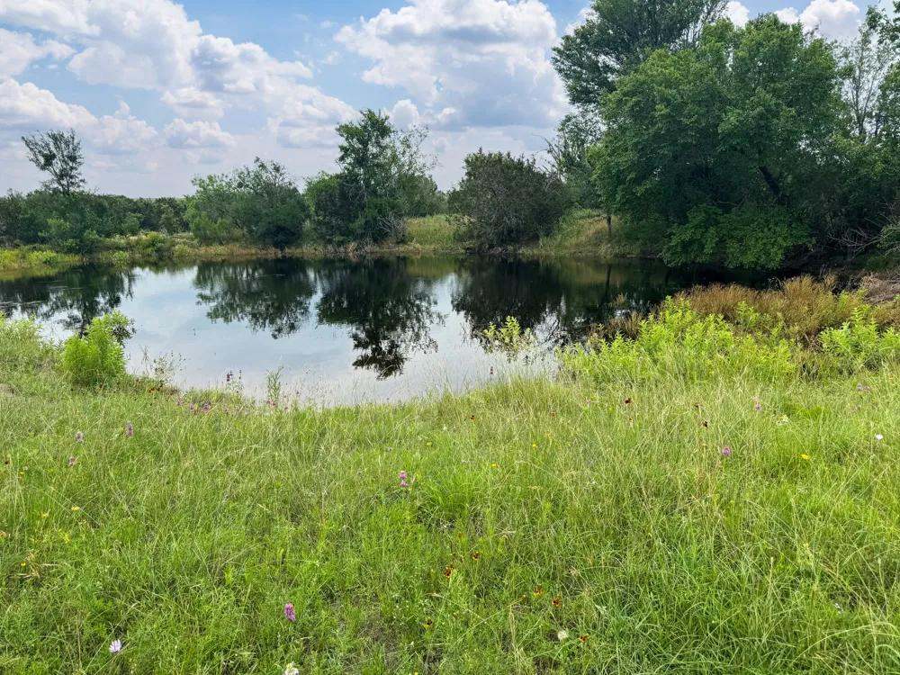 S Rocky Trail Lampasas, TX 76550