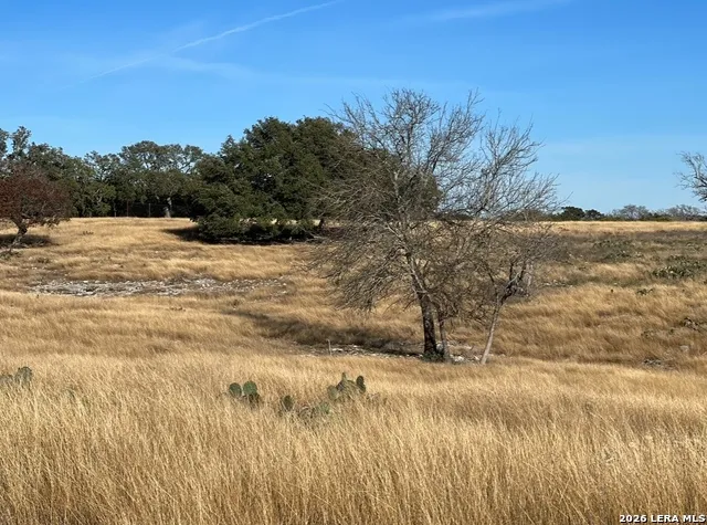 LOT 162 Cattlemans Crossing Dr Kerrville, TX 78028