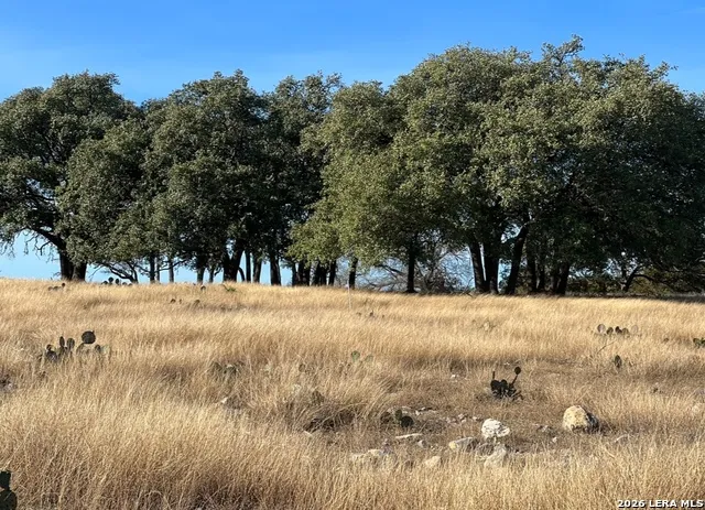 LOT 162 Cattlemans Crossing Dr Kerrville, TX 78028