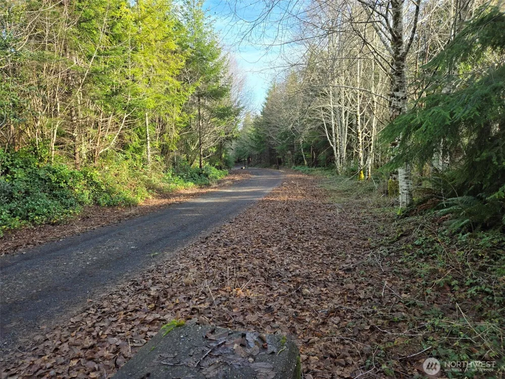 0 NKA Herbig Avenue Aberdeen, WA 98520