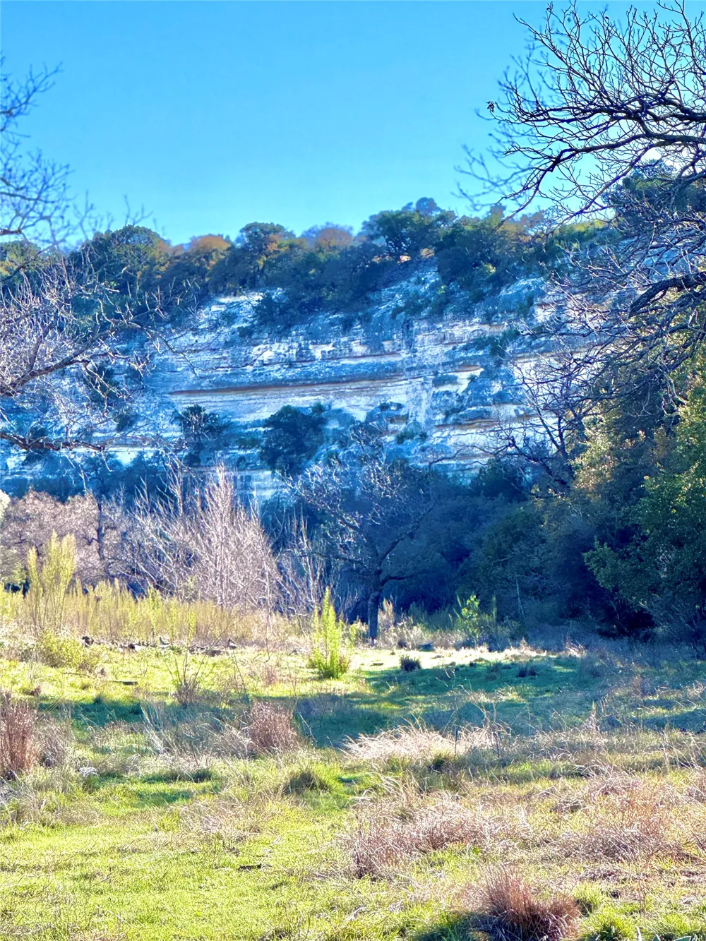 Seven Springs Drive Junction, TX 76849