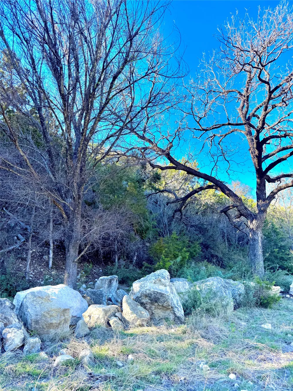 Seven Springs Drive Junction, TX 76849