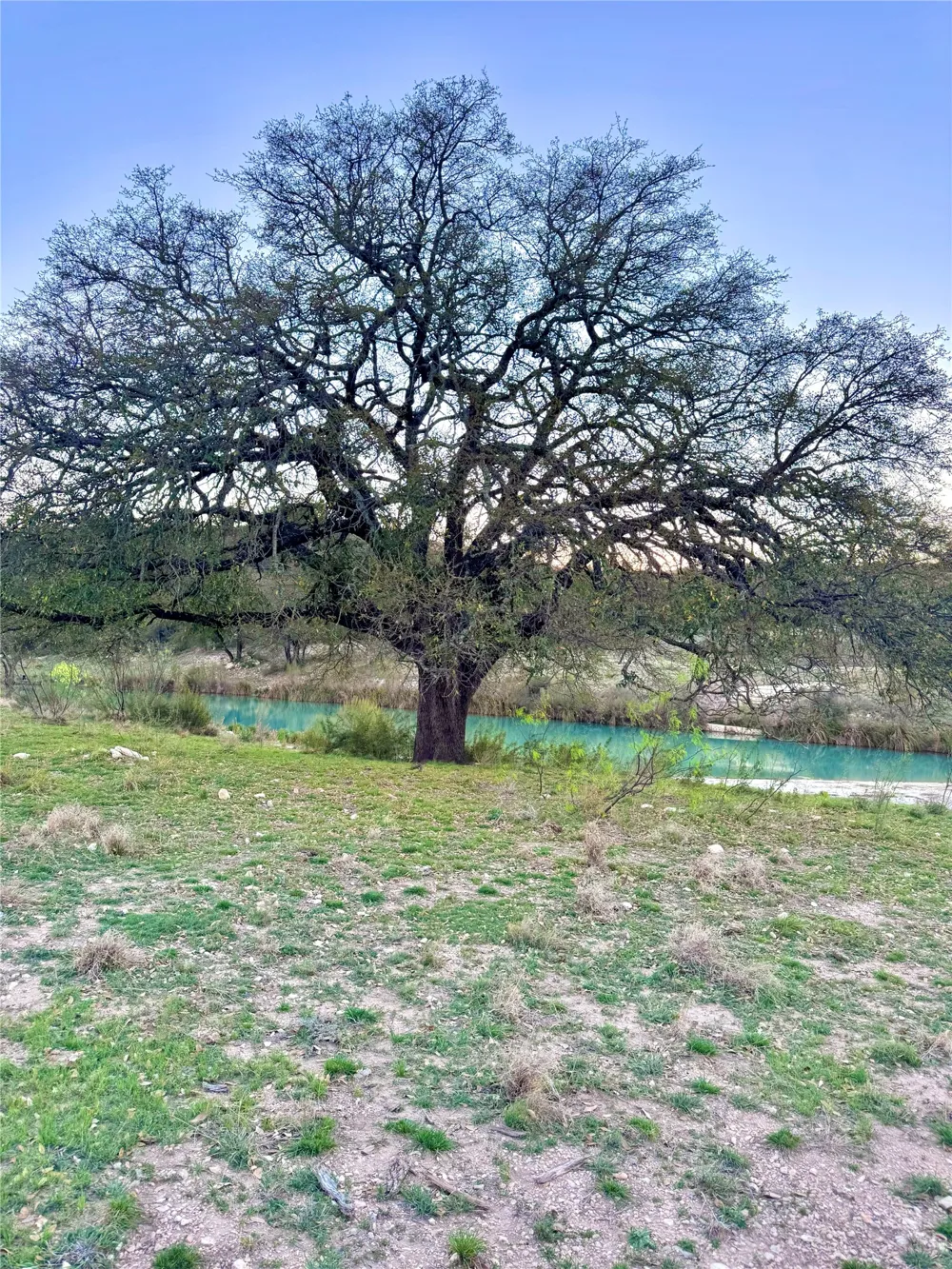 Seven Springs Drive Junction, TX 76849