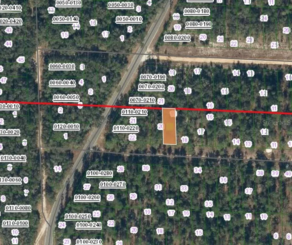 336 PORTLAND STREET Hawthorne, FL 32640
