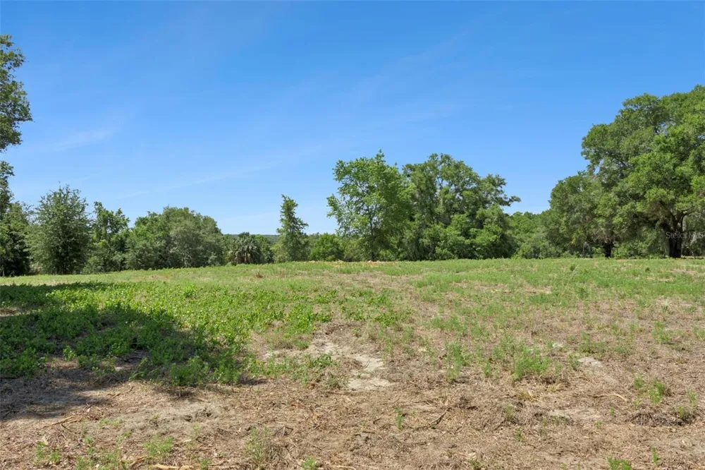 0000 BERTSVILLE ROAD & GRIFFIN VIEW DRIVE Lady Lake, FL 32159