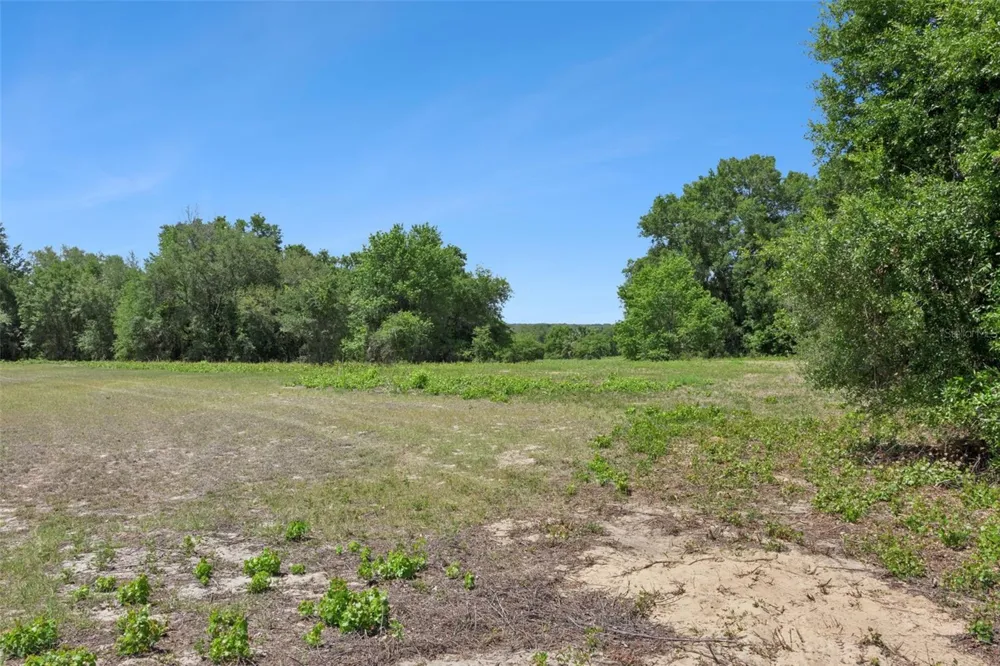 0000 BERTSVILLE ROAD & GRIFFIN VIEW DRIVE Lady Lake, FL 32159