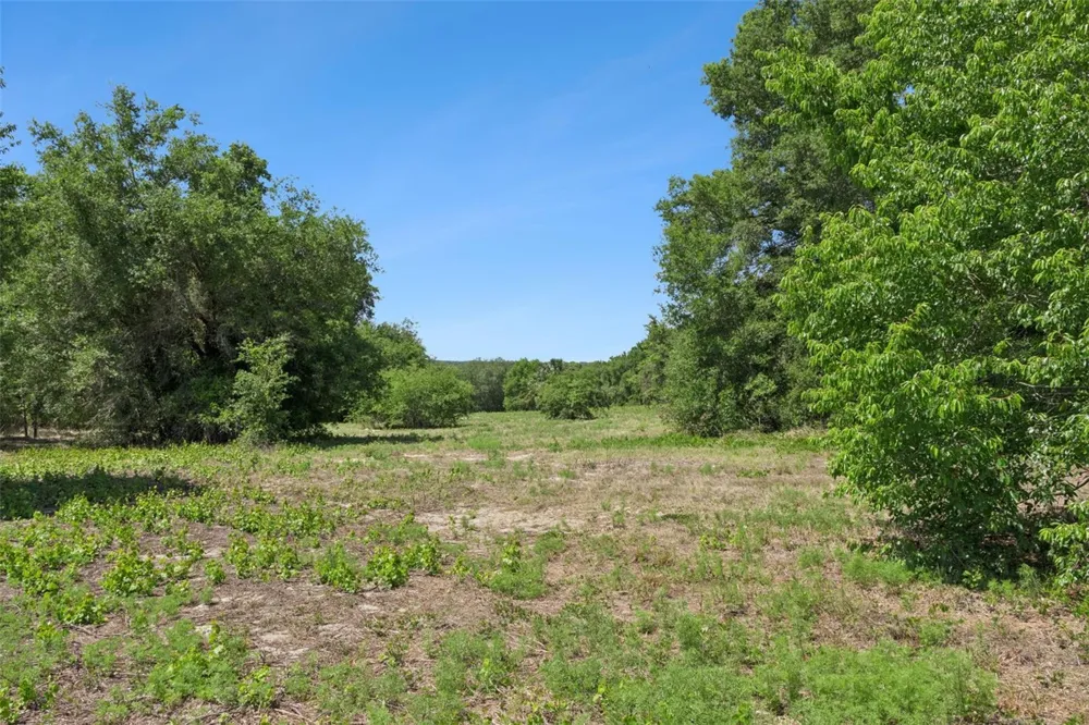 0000 BERTSVILLE ROAD & GRIFFIN VIEW DRIVE Lady Lake, FL 32159