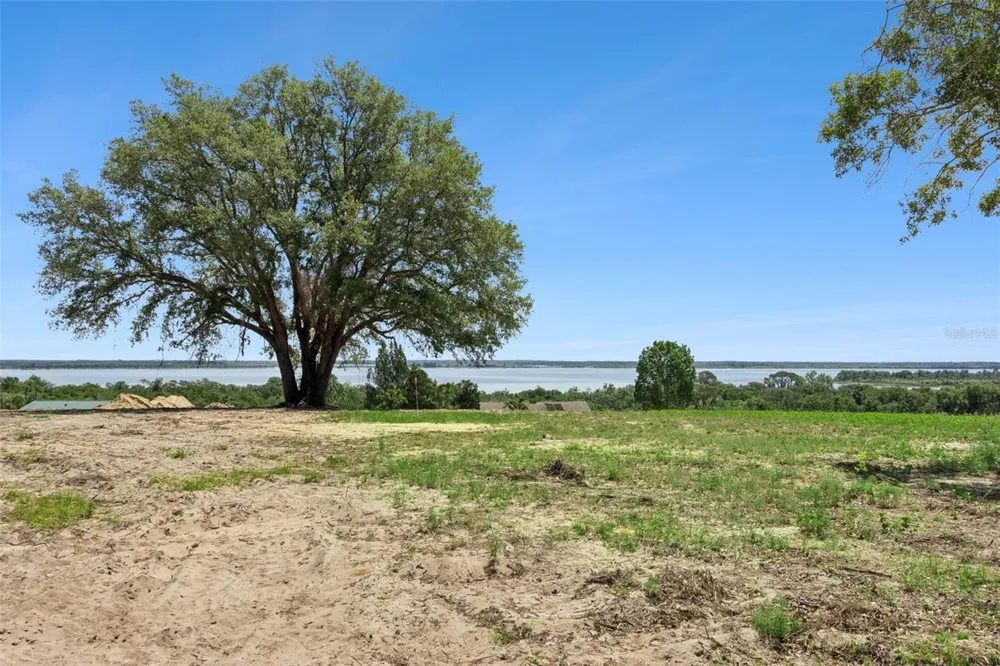 0000 BERTSVILLE ROAD & GRIFFIN VIEW DRIVE Lady Lake, FL 32159
