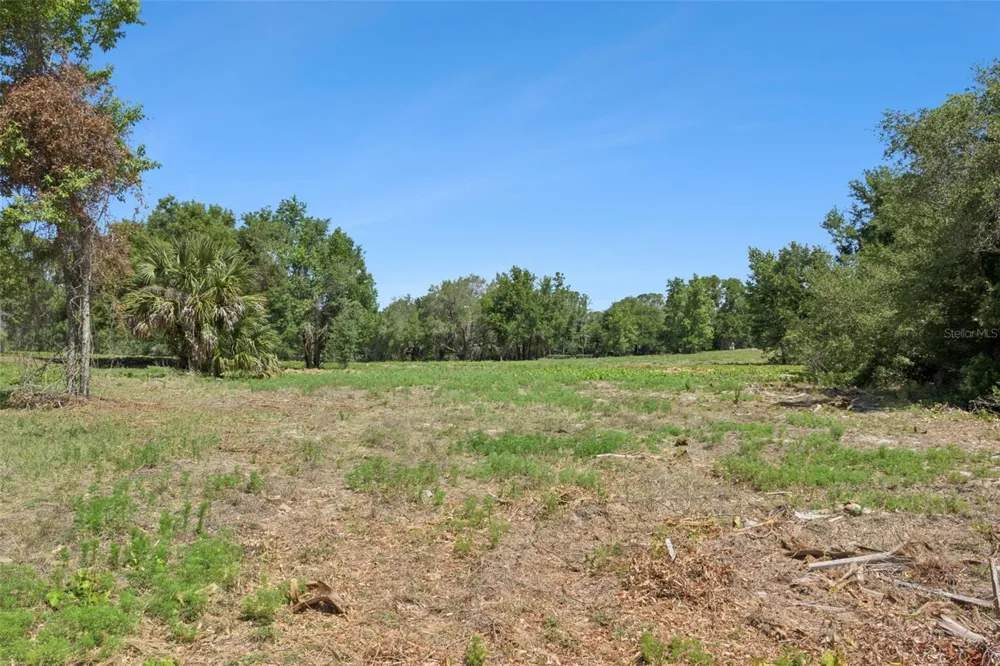 0000 BERTSVILLE ROAD & GRIFFIN VIEW DRIVE Lady Lake, FL 32159