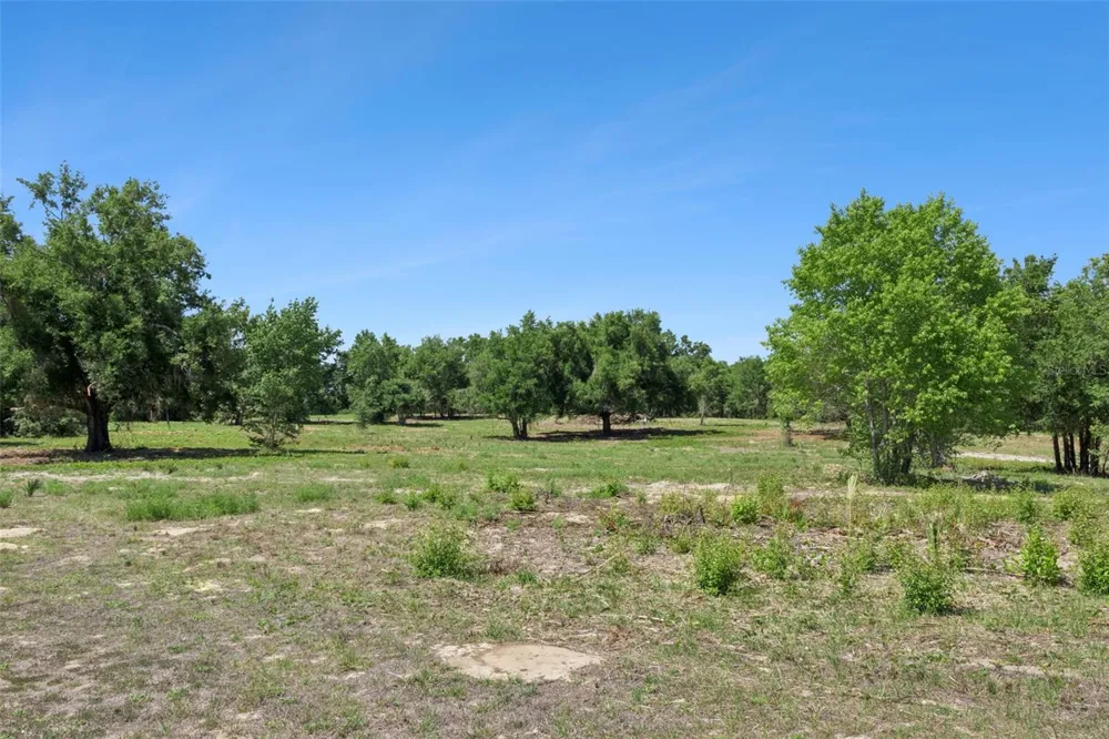 0000 BERTSVILLE ROAD & GRIFFIN VIEW DRIVE Lady Lake, FL 32159