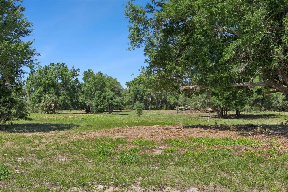 0000 BERTSVILLE ROAD & GRIFFIN VIEW DRIVE Lady Lake, FL 32159