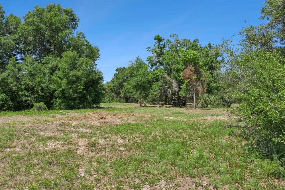 0000 BERTSVILLE ROAD & GRIFFIN VIEW DRIVE Lady Lake, FL 32159
