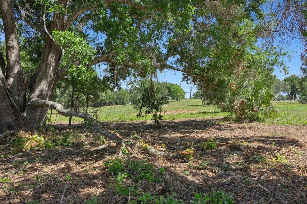 0000 BERTSVILLE ROAD & GRIFFIN VIEW DRIVE Lady Lake, FL 32159