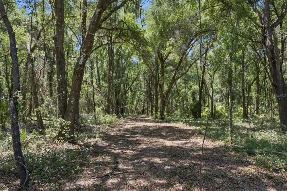 0000 BERTSVILLE ROAD & GRIFFIN VIEW DRIVE Lady Lake, FL 32159