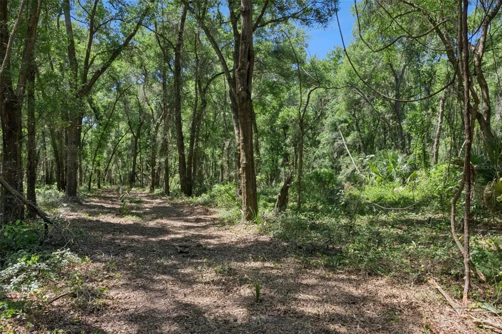 0000 BERTSVILLE ROAD & GRIFFIN VIEW DRIVE Lady Lake, FL 32159