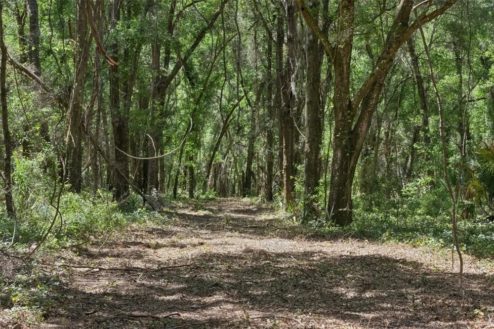 0000 BERTSVILLE ROAD & GRIFFIN VIEW DRIVE Lady Lake, FL 32159