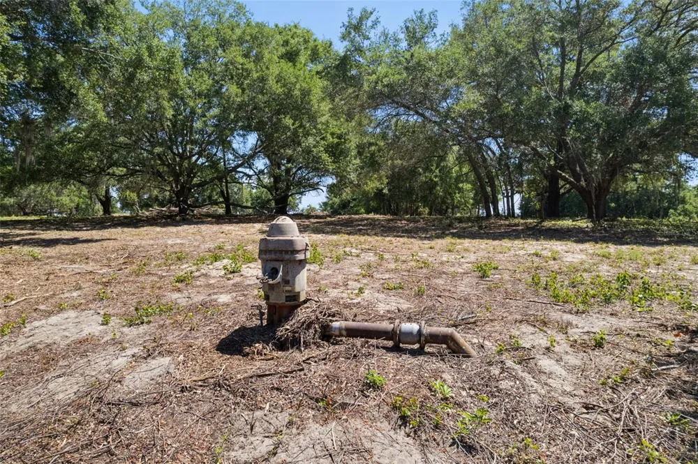 0000 BERTSVILLE ROAD & GRIFFIN VIEW DRIVE Lady Lake, FL 32159