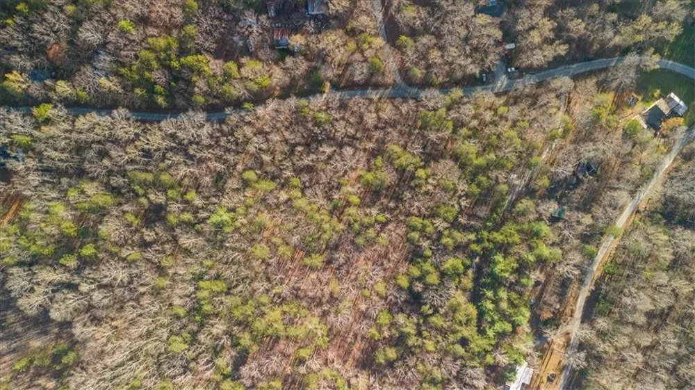 0 Fern Valley Road Dawsonville, GA 30534