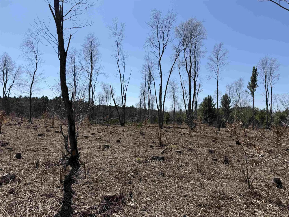 Landis Road Weldon Township, MI 49683