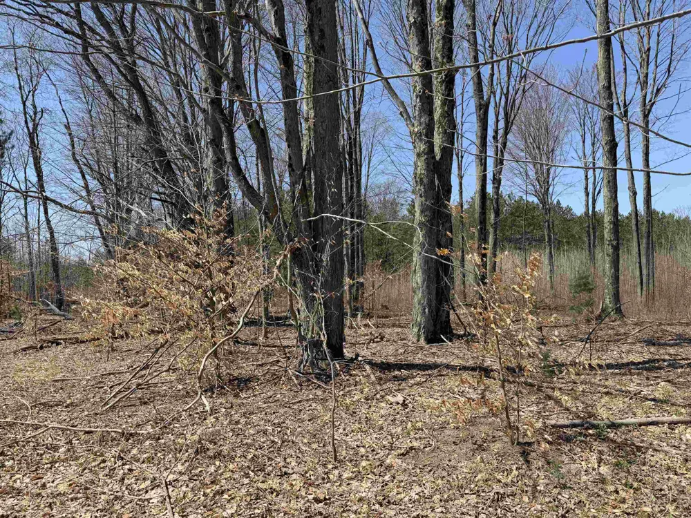 Landis Road Weldon Township, MI 49683
