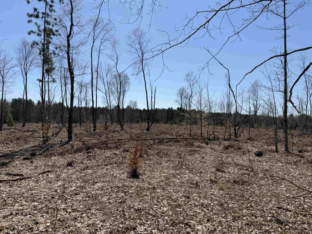 Landis Road Weldon Township, MI 49683