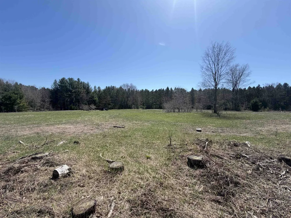 Landis Road Weldon Township, MI 49683