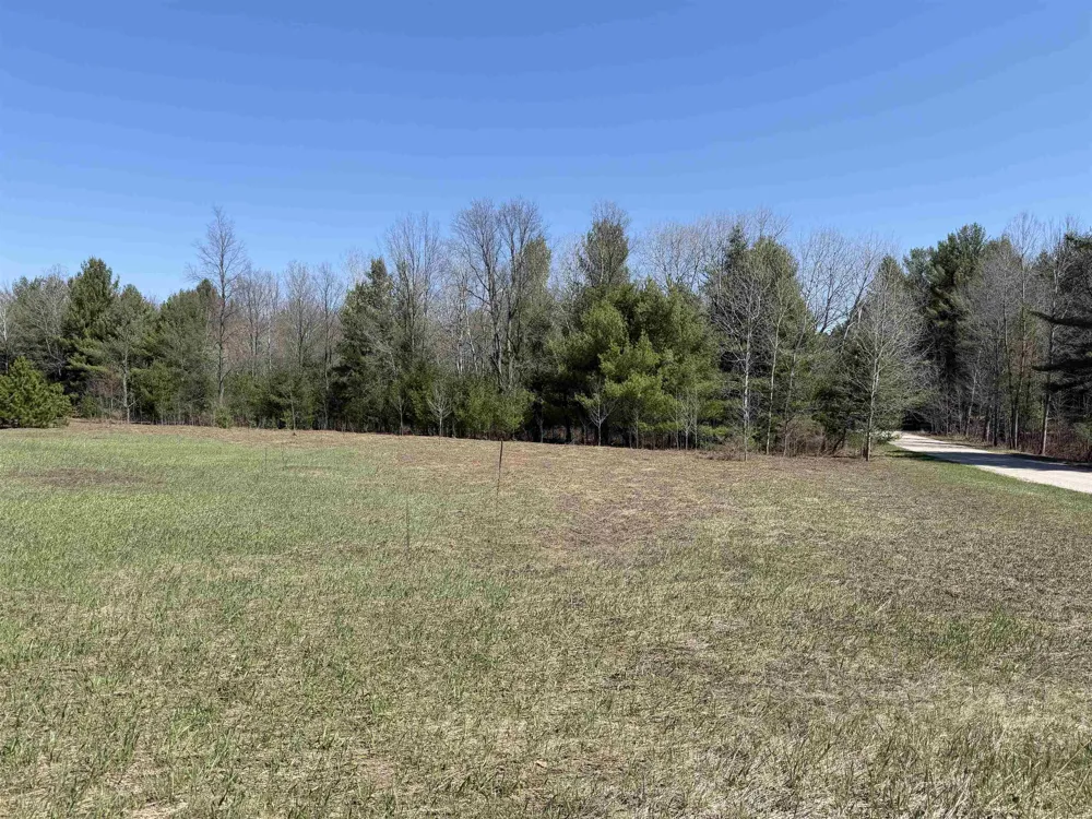 Landis Road Weldon Township, MI 49683