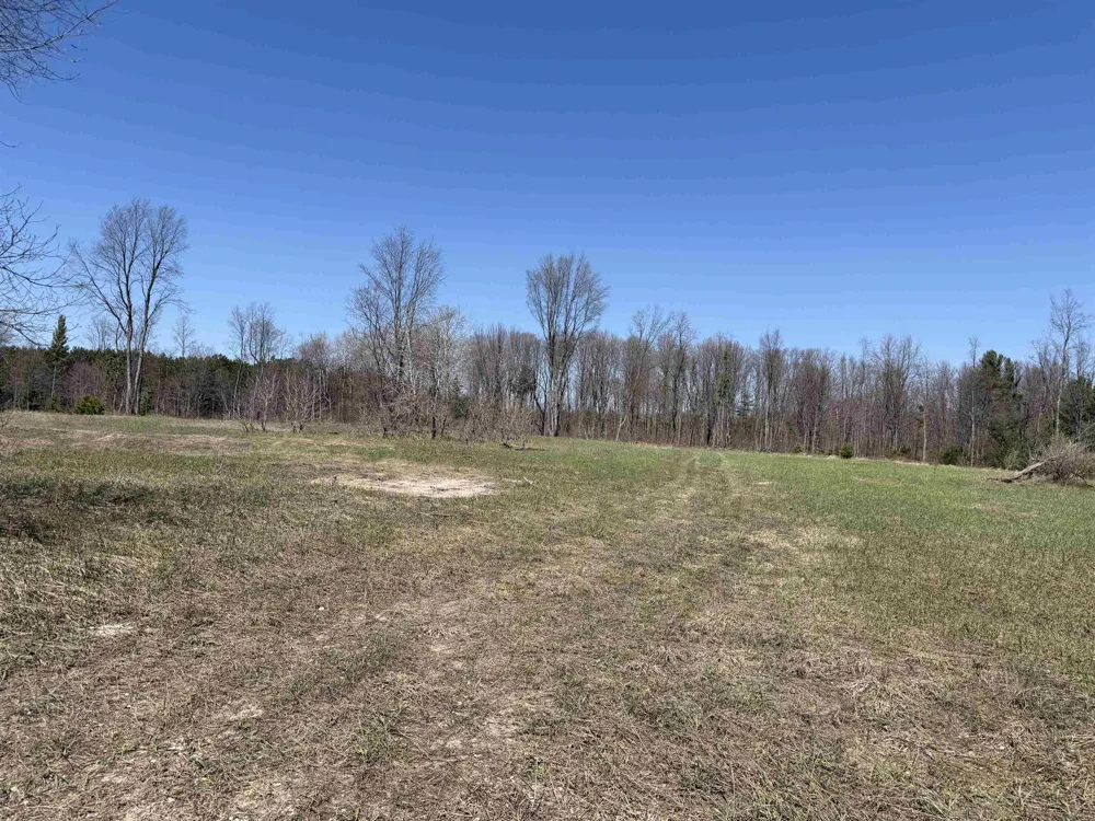 Landis Road Weldon Township, MI 49683