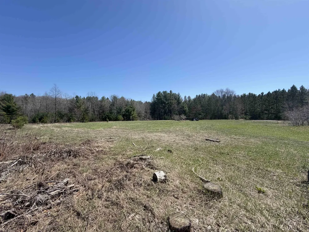 Landis Road Weldon Township, MI 49683