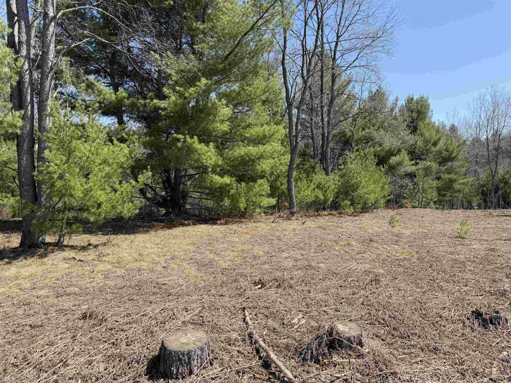 Landis Road Weldon Township, MI 49683