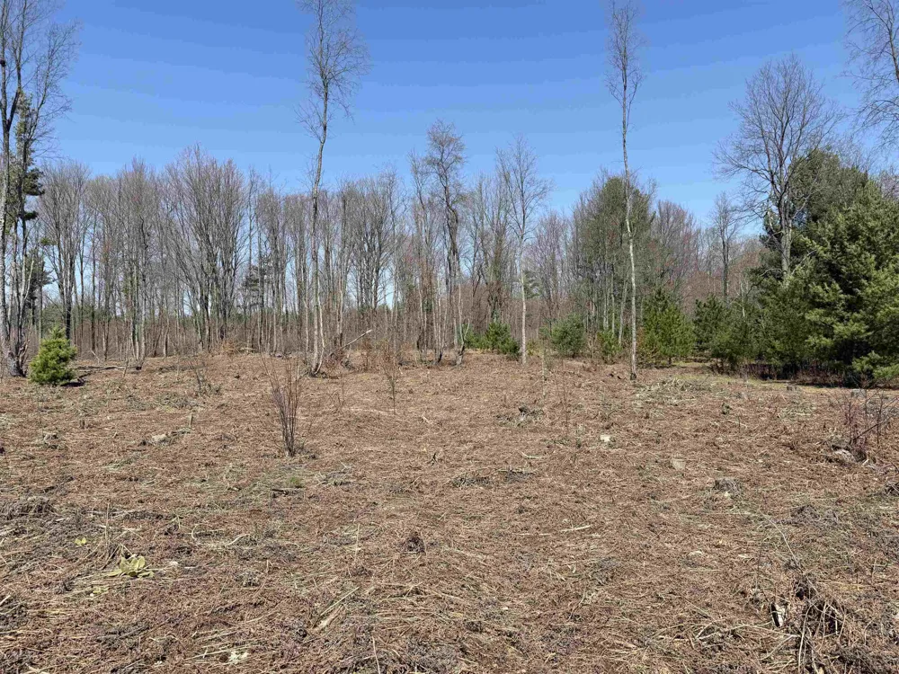 Landis Road Weldon Township, MI 49683